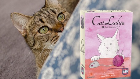 Cat Lady- A bolyhos szőrpamacsok izgalmas játéka