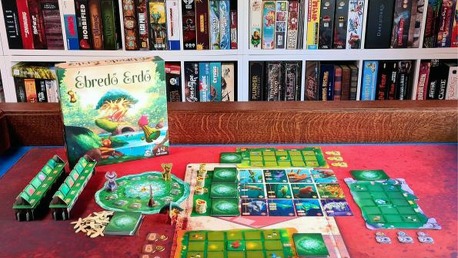 Ébredő erdő – Mágia és természet [Társalgó]