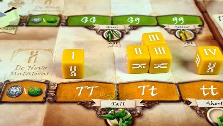 Genotype – Csak szemezgetjük a borsót [Társalgó]