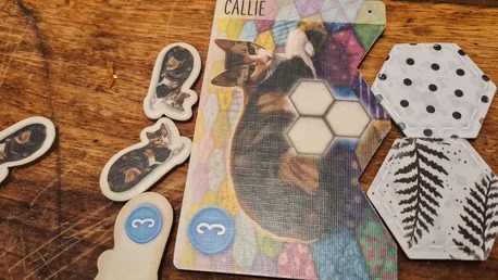 Kincskeresés macskákkal és macskák nélkül [Telex.hu]