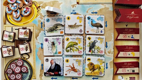 Darwin nyomában [Tarsasjatszunk.hu]