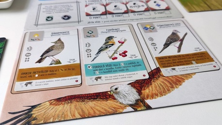 Fesztáv: Ázsia – Keleti kényelem [Társalgó]