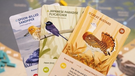 Kickstarter körkép - 50. hét