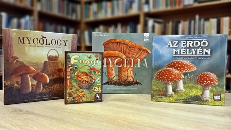 Üdvözlünk a gombák világában!