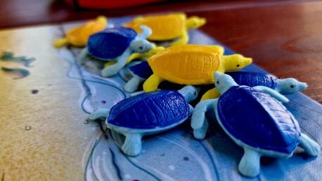 Családi játékok– Turtle Bay [Társalgó]