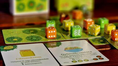 Liget: Egyszemélyes szüret – Szüret a kertben… vagy bárhol [Társalgó]