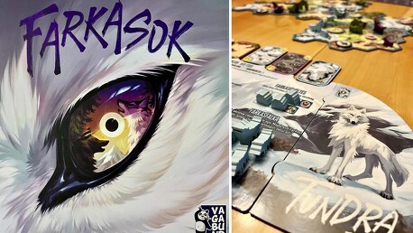 Farkasok és dominanciaharc🐺