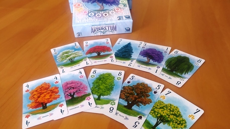 Arborétum - A látszat néha csal