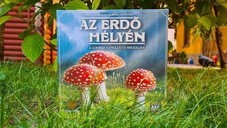 A gombák összeesküvéséből ezúttal nem világvége lesz, és még a zombik sem támadnak [hvg.hu]