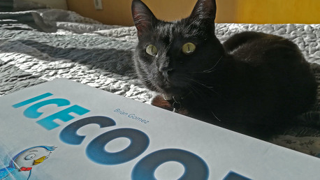 Ice Cool - Csúszós móka