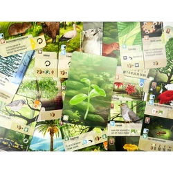 Az erdő: Felfedezés