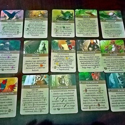 Everdell: Virágfesztivál