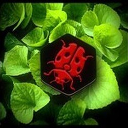 Hive tásasjáték - Katicabogár kiegészítő