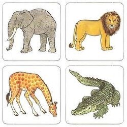 Tudnak-e repülni a malacok?