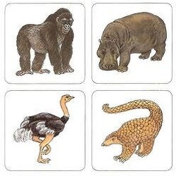 Tudnak-e repülni a malacok?