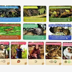 Eltűnt fajok nyomában