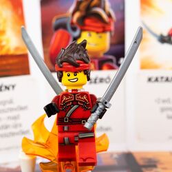 LEGO: NINJAGO – Destiny’s Bounty Adventures
