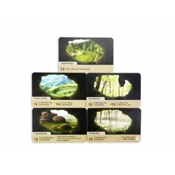 Az erdő: Felfedezés