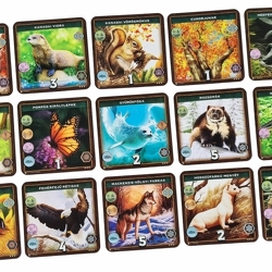 Irány a vadon: Észak-Amerika