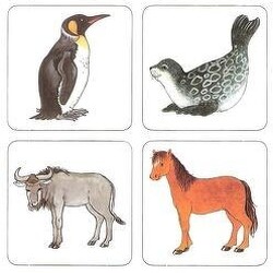 Tudnak-e repülni a malacok?