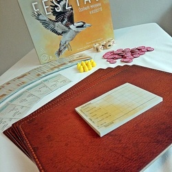 Fesztáv: Óceániai madarak