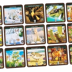 Irány a vadon: Észak-Amerika