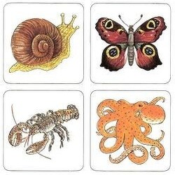 Tudnak-e repülni a malacok?