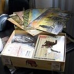 BANG! Wild West Show