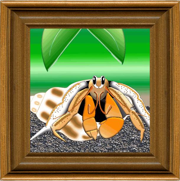 Hermit Crab Havoc