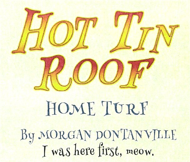 Hot Tin Roof: Home Turf