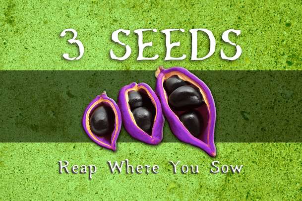 3 Seeds: Reap Where You Sow