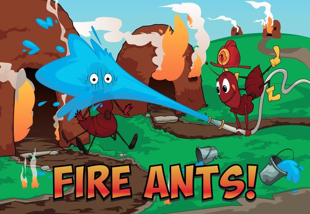 Fire Ants!