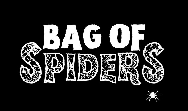 Bag of Spiders