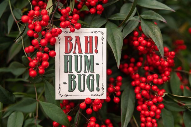 Bah Humbug: A Twelve Days of Christmas Bluffing Game