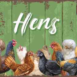 Hens